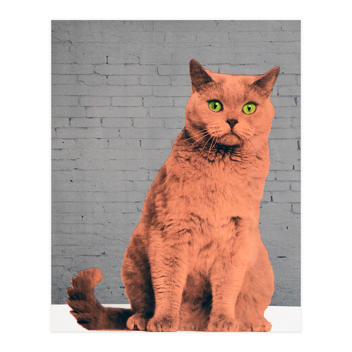 Everybody Wants To Be A Cat  (Print Only)