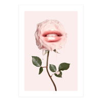 Glossy Rose (Print Only)