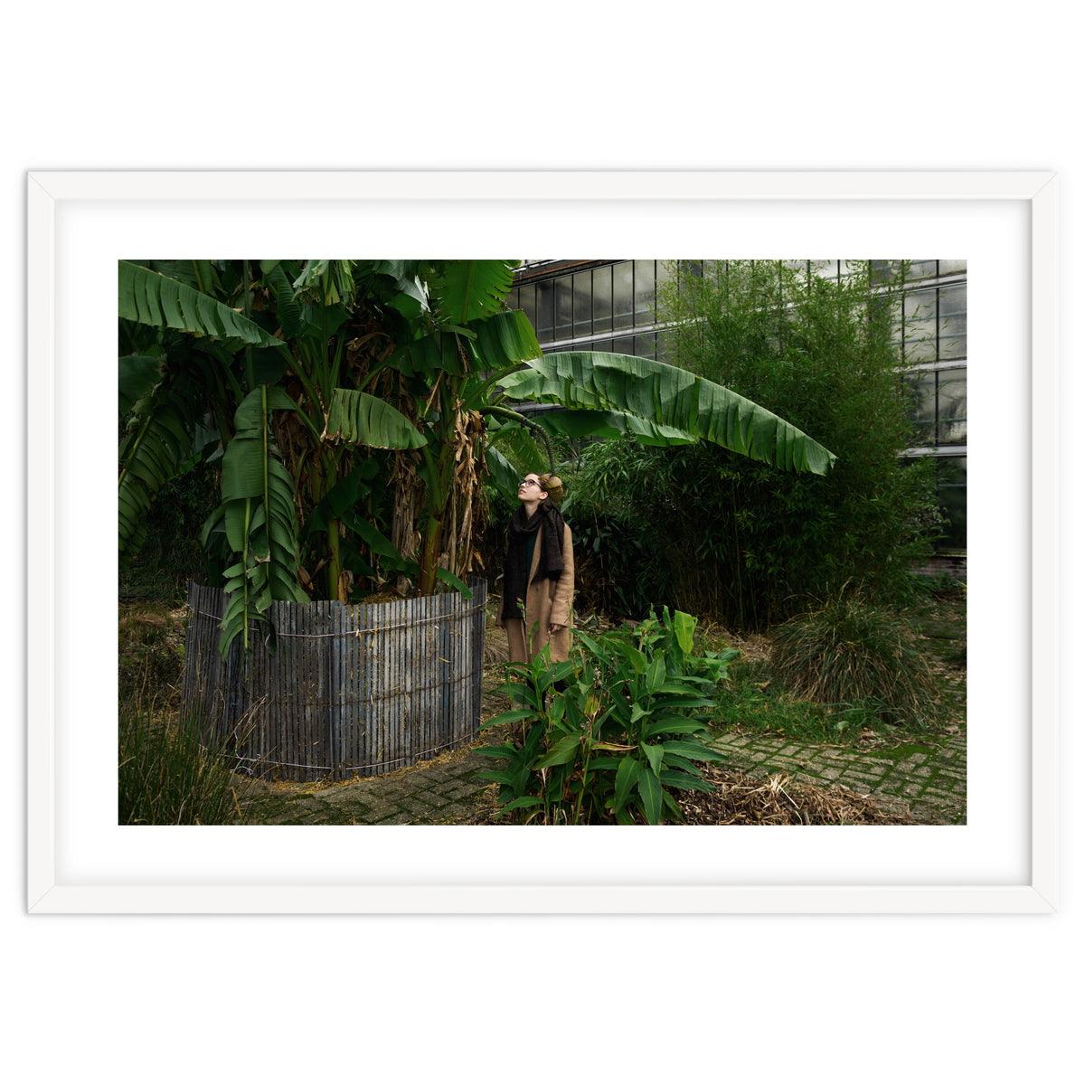 Transition from Summer to Winter