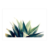 Botanical cactus I (Print Only) thumbnail