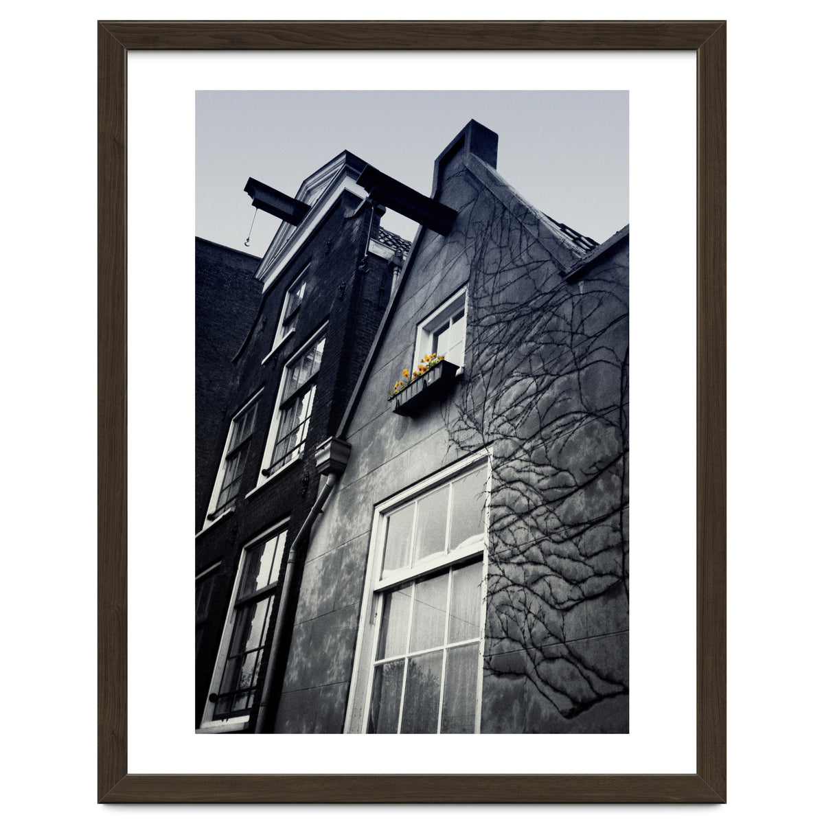 Amsterdam. House With Yellow Flowers.