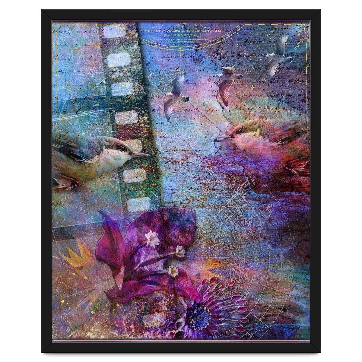 Watching the Wild World