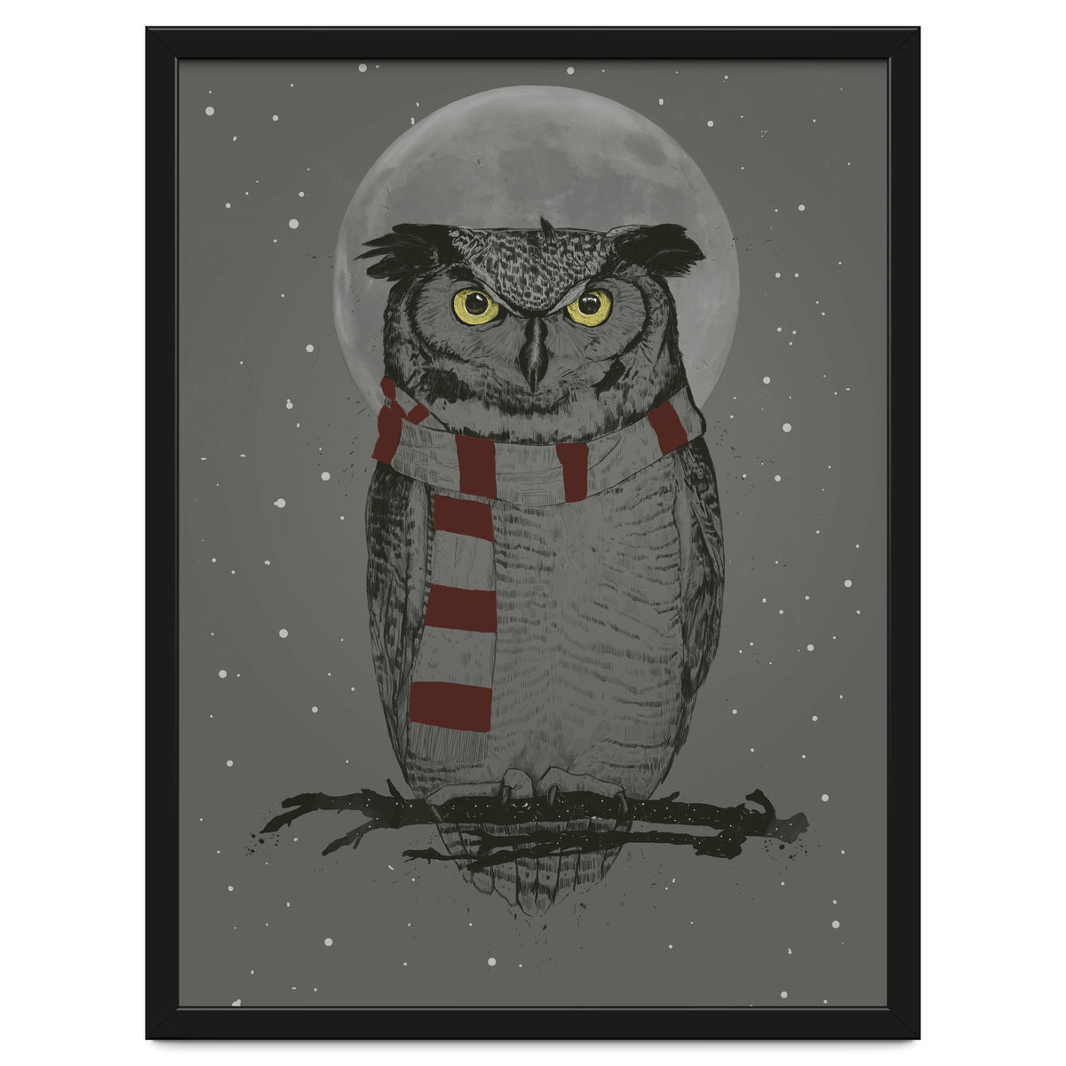 Winter Owl