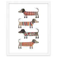 Sausage Dogs In Sweaters