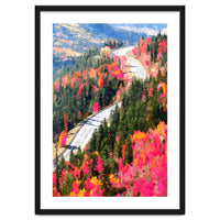 Valley of Pink Trees | Fantasy Pop of Color Forest Nature | Jungle Adventure Road Trip Pine