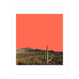 red (Print Only) thumbnail
