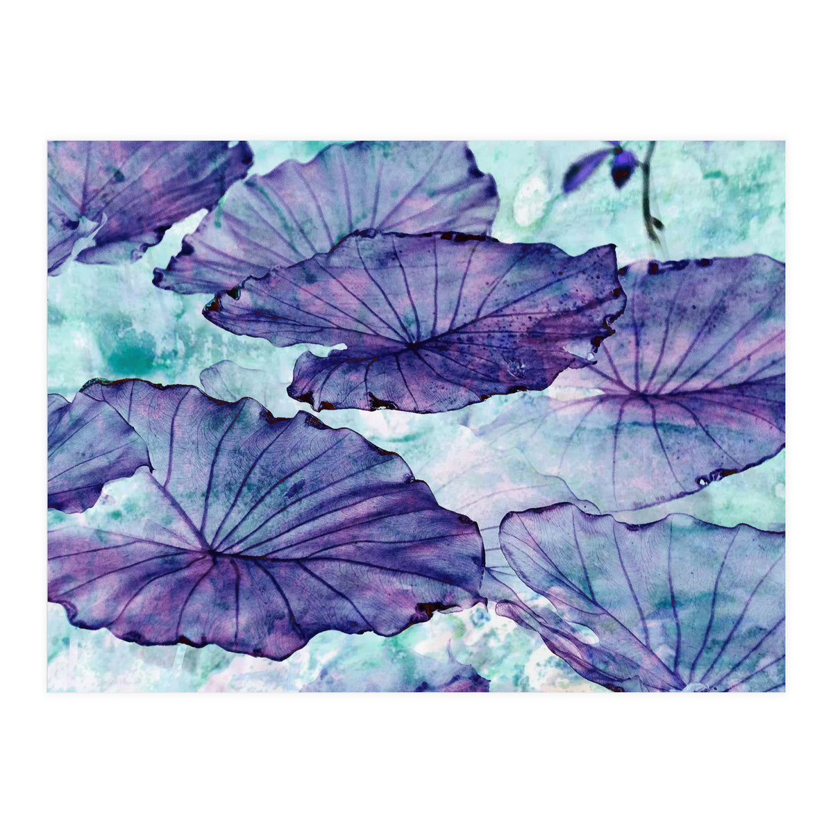 Botanical Surrealism (Print Only)