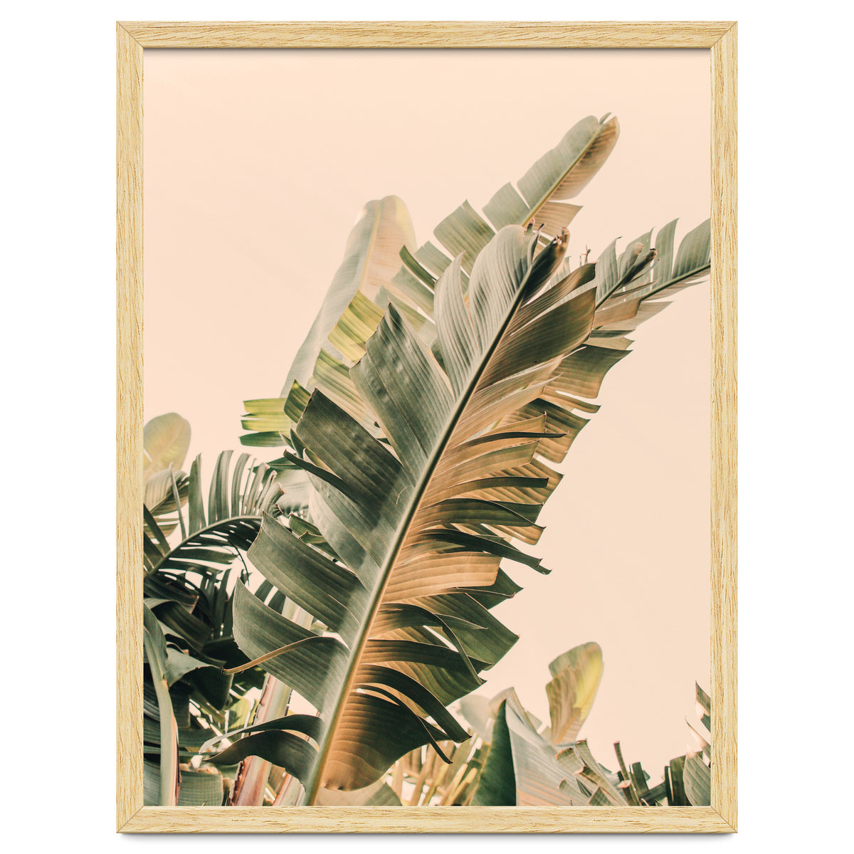 Growing Green Alicia Bock