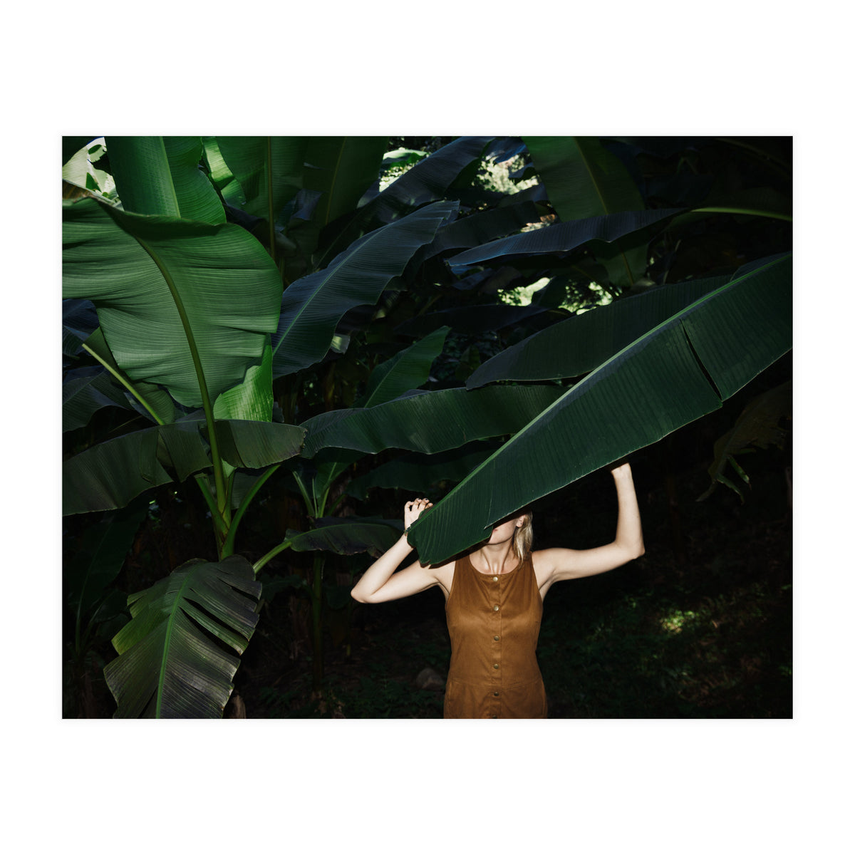 Facepalm (Print Only)