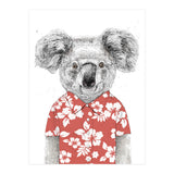 Summer Koala  (Print Only) thumbnail