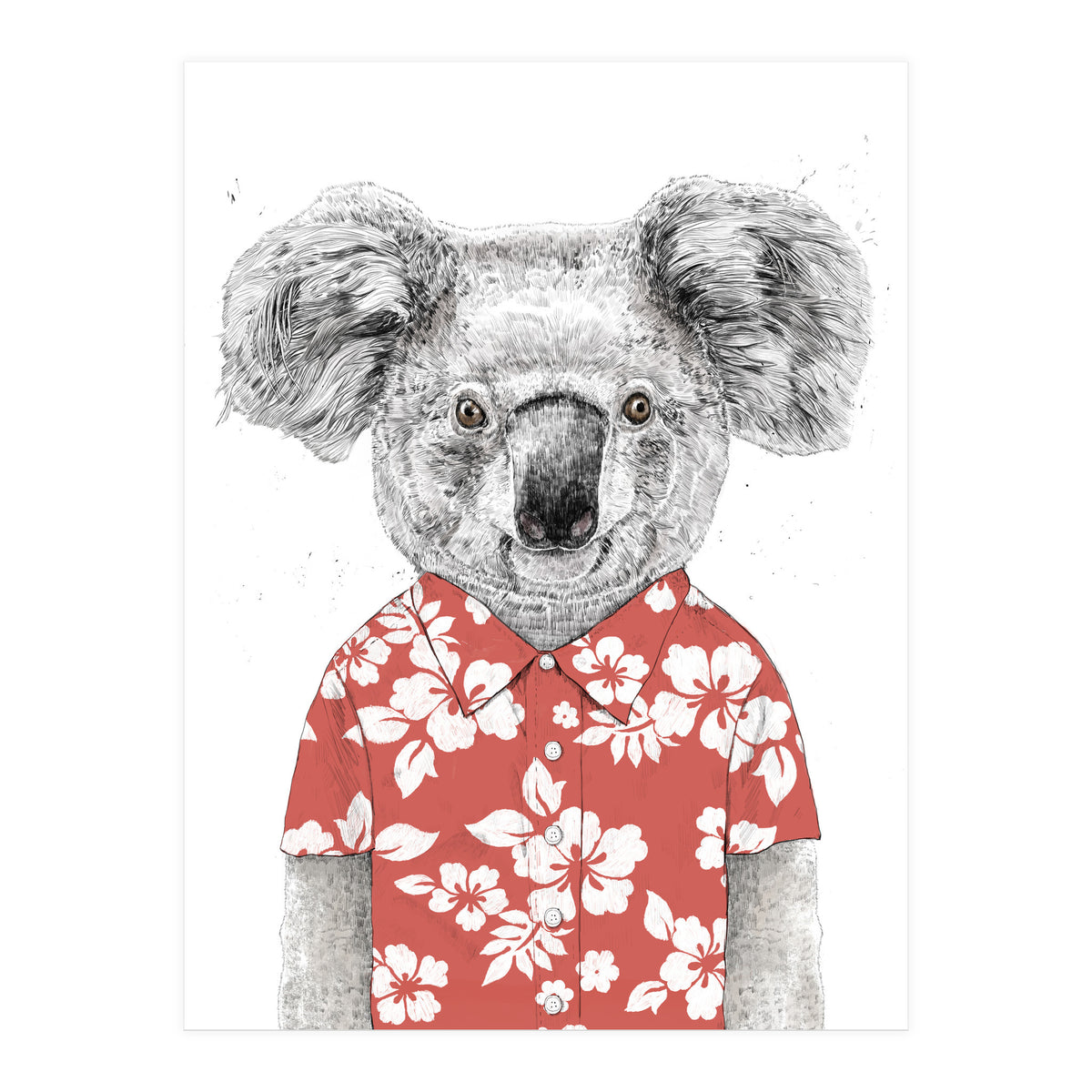 Summer Koala  (Print Only)