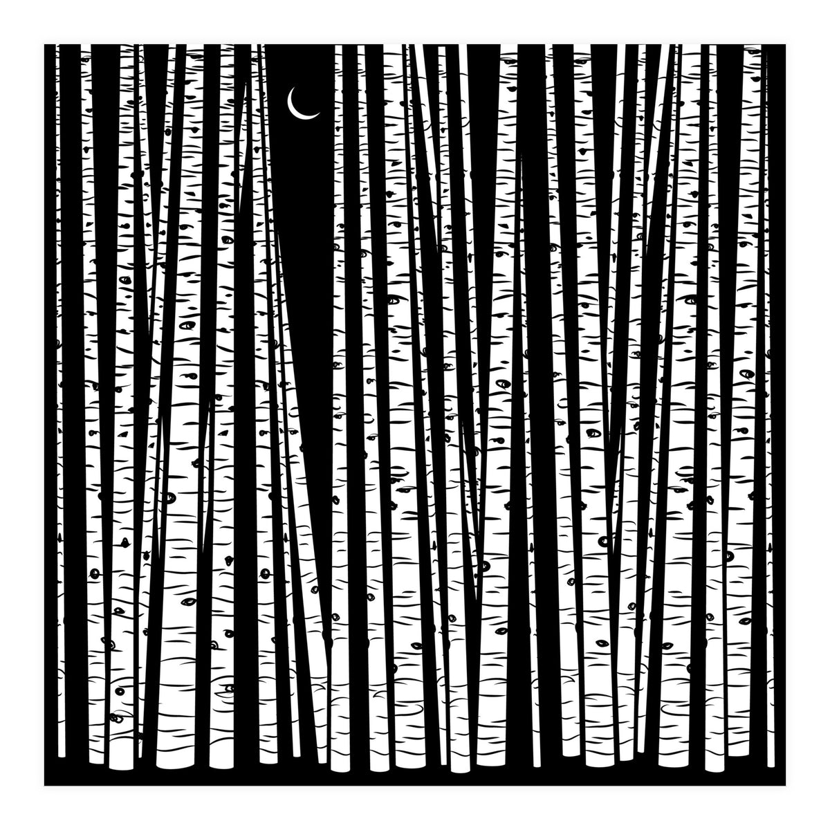 See the Forest... (Print Only)