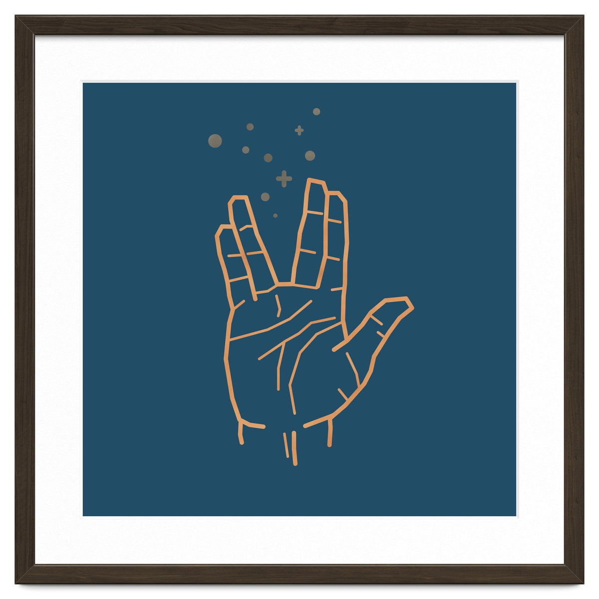 Vulcan Salute