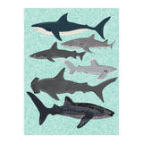 Sharks (Print Only) thumbnail
