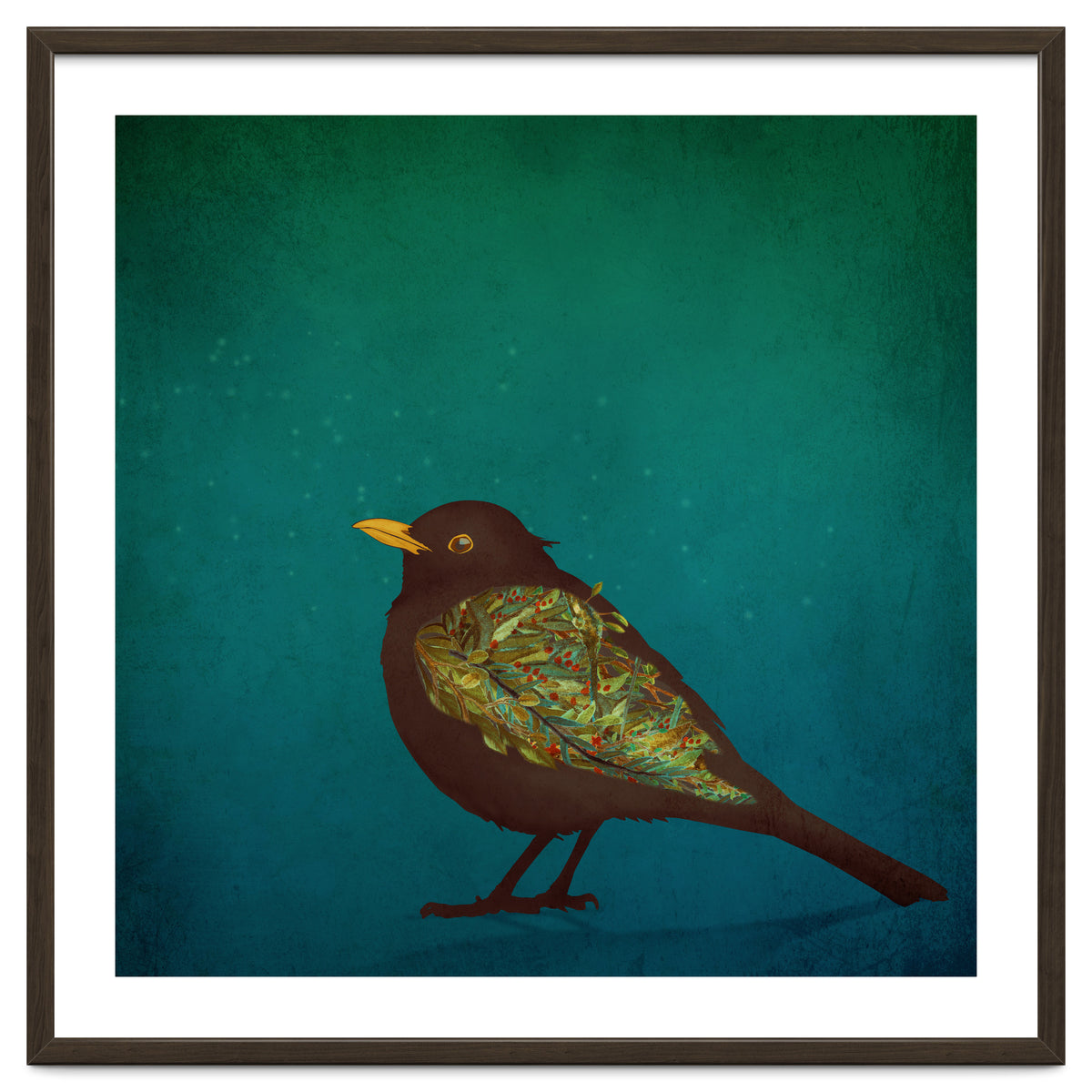 Camouflage: The Blackbird