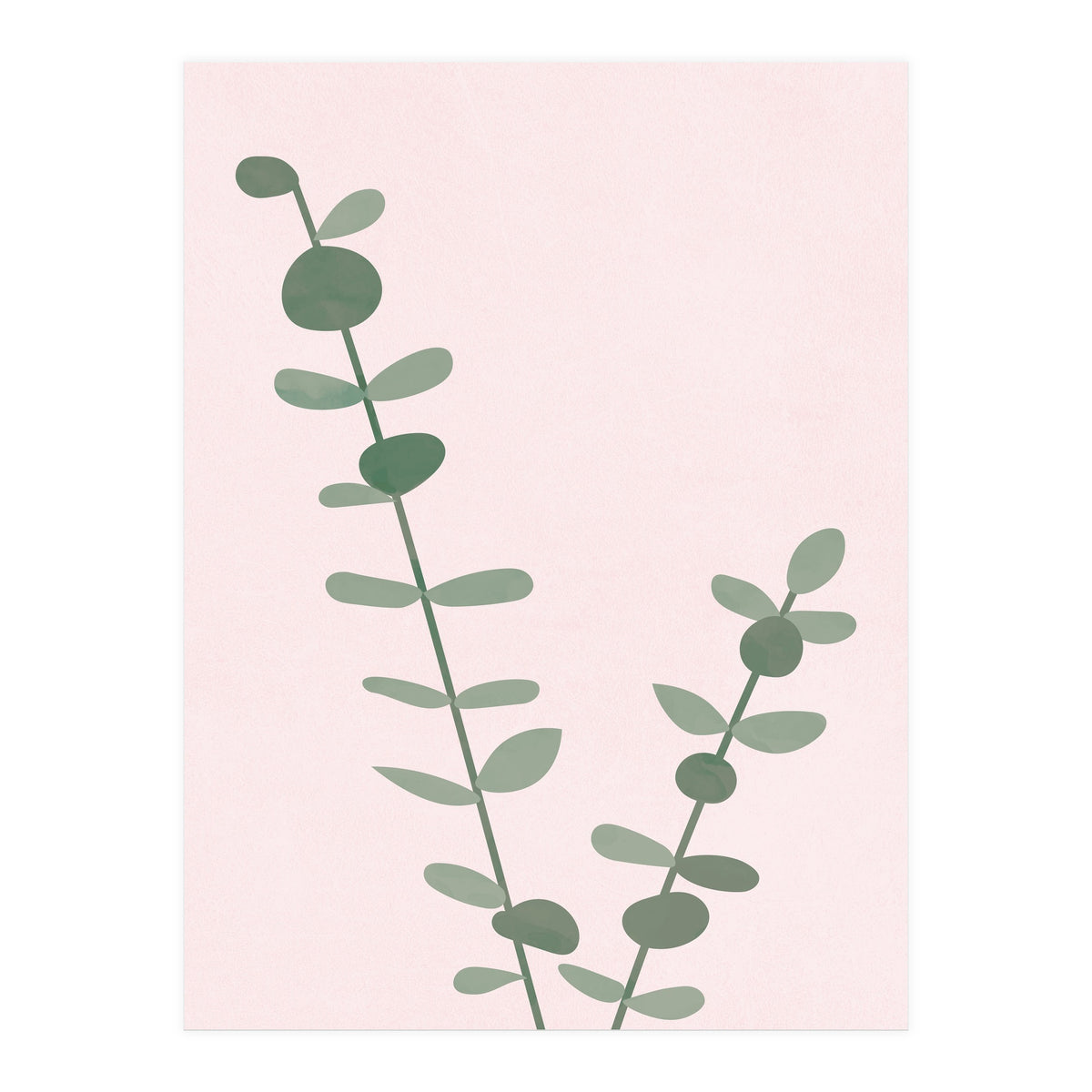 Modern Eucalyptus (Print Only)