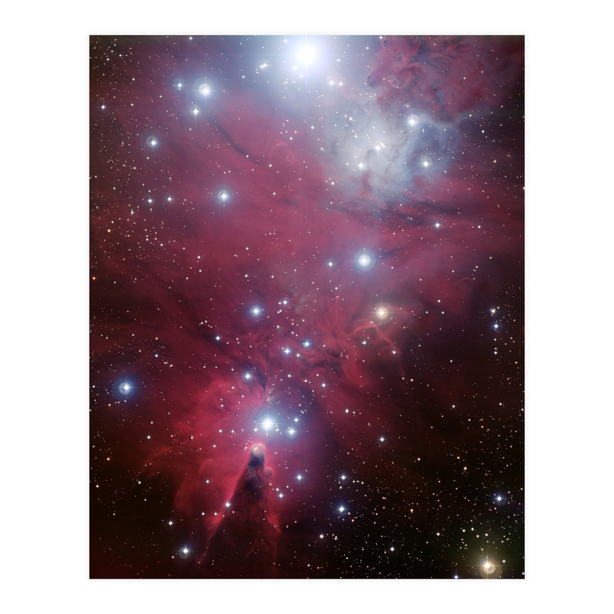 The Christmas Tree Cluster (Print Only)