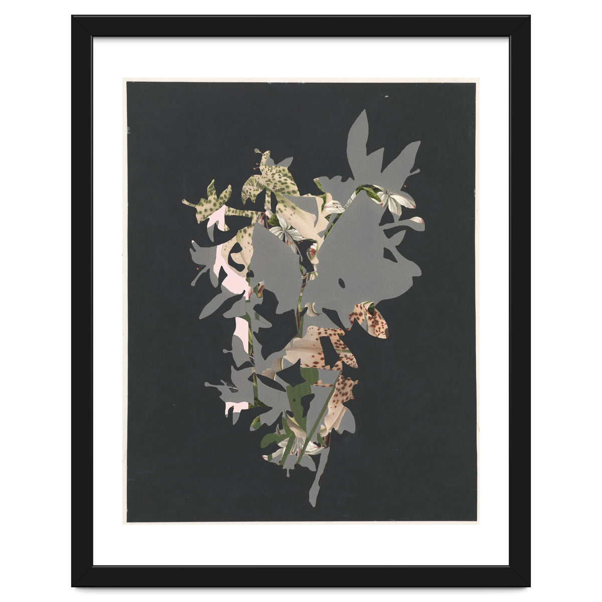 The First Plant · Black