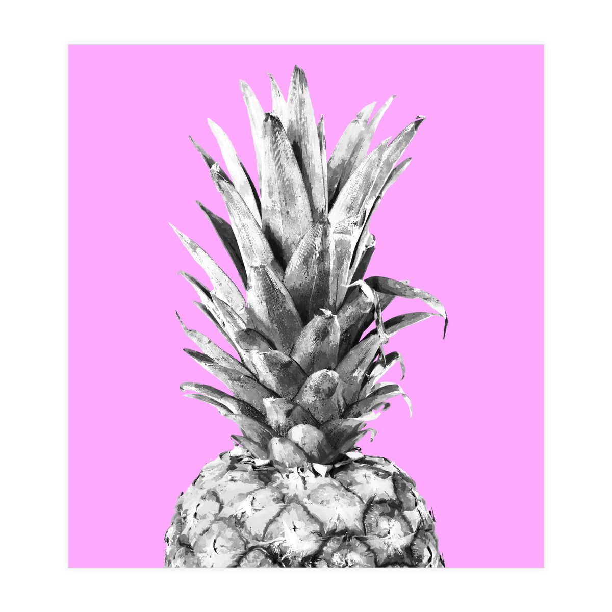 Black and White Pineapple Pink Background (Print Only)