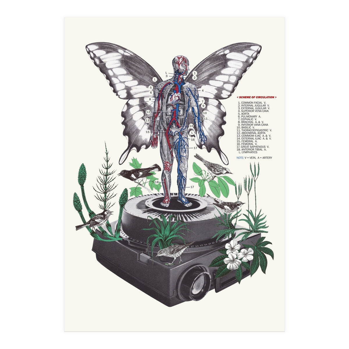 Hologram (Print Only)