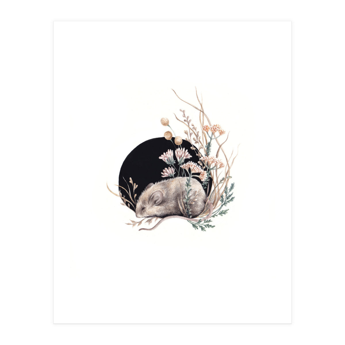 Sleeping Mouse (Print Only)