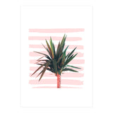 Dreamer (Print Only) thumbnail