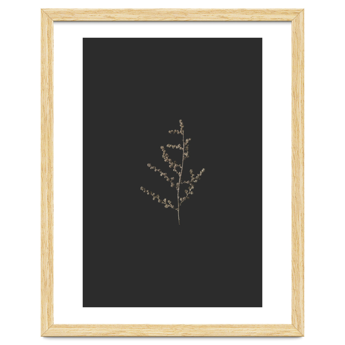 Dainty Botanicals in Gold and Black