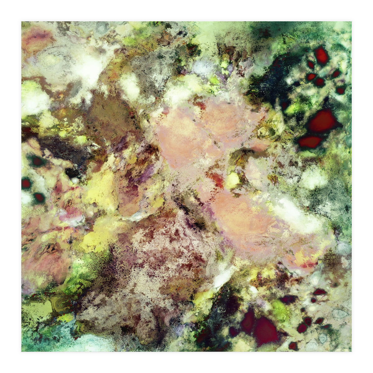 Sugar Coated (Print Only)