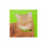 Ginger (Print Only) thumbnail