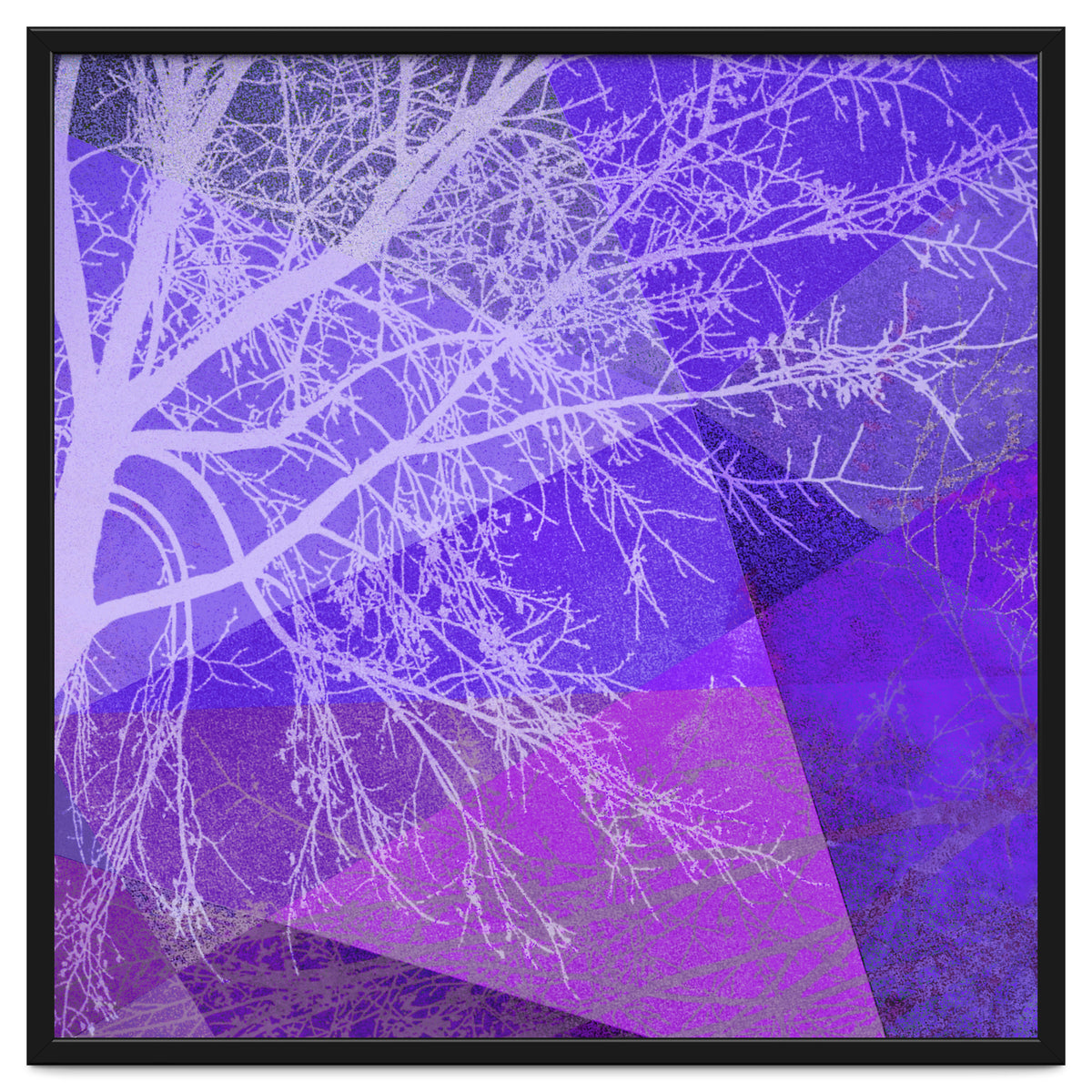 P19-D2 Trees and Triangles