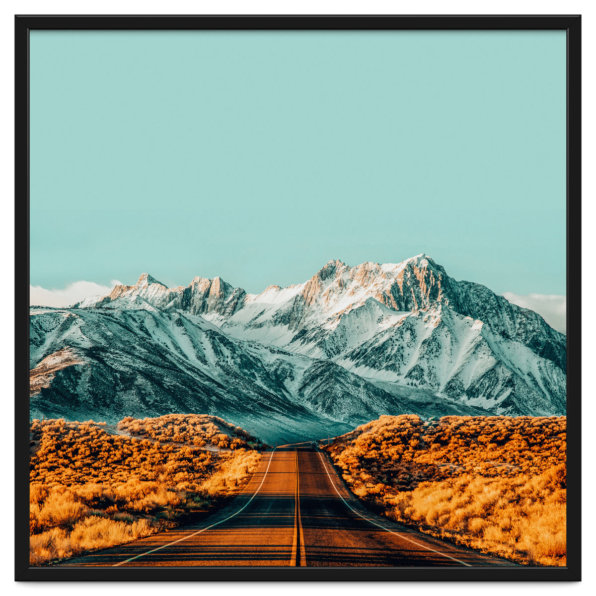 The Road Less Traveled