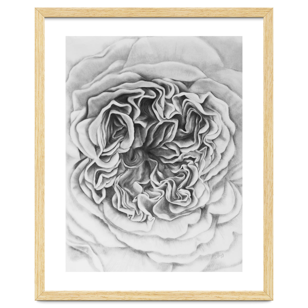 A Rose in Monochrome