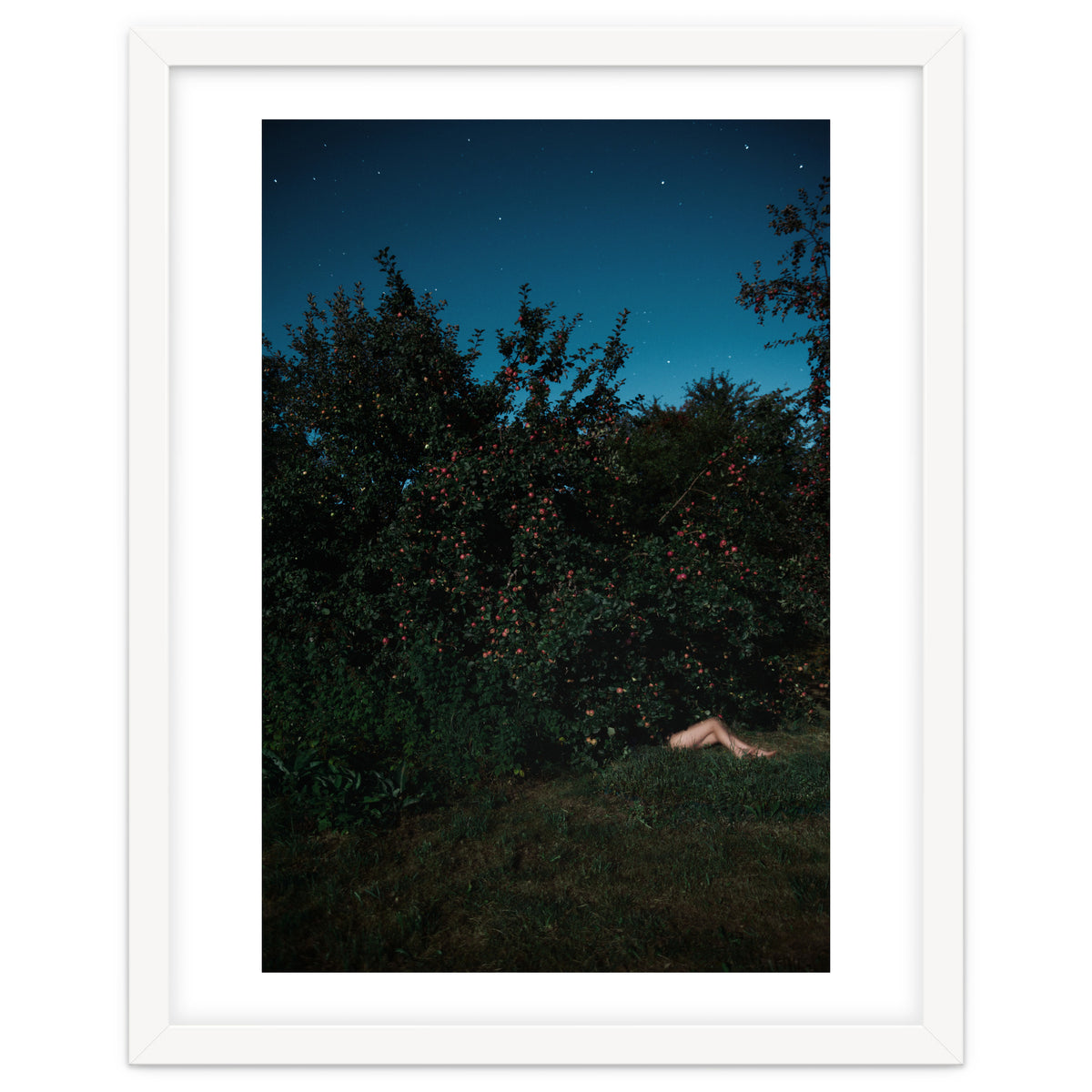 The Cider House Legs