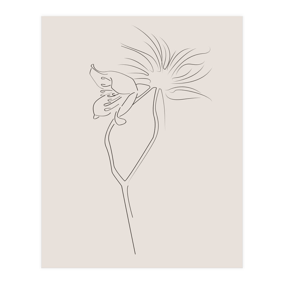 Flower 01 (Print Only)