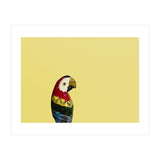 Parrot (Print Only) thumbnail