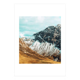 Carter (Print Only) thumbnail