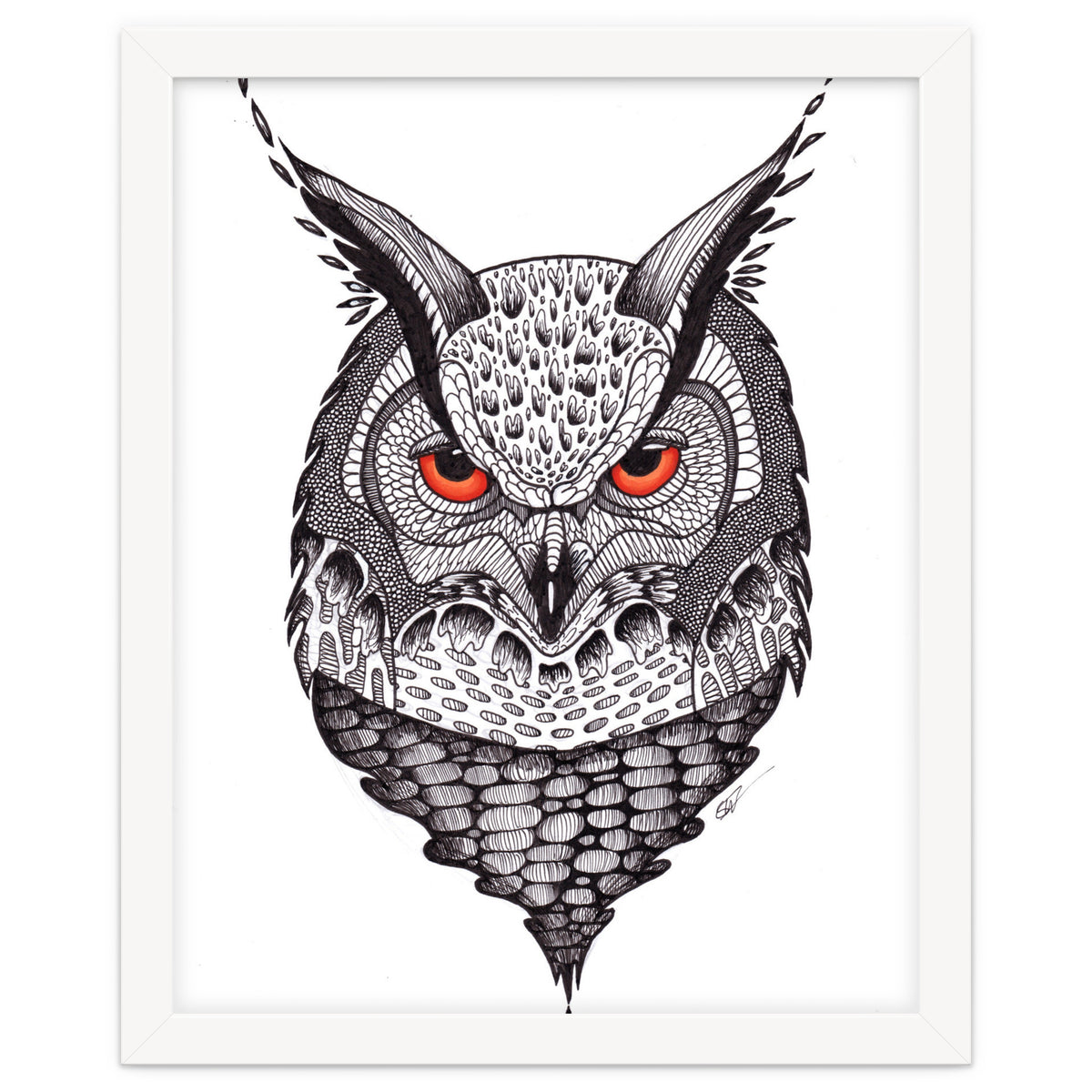 Owl