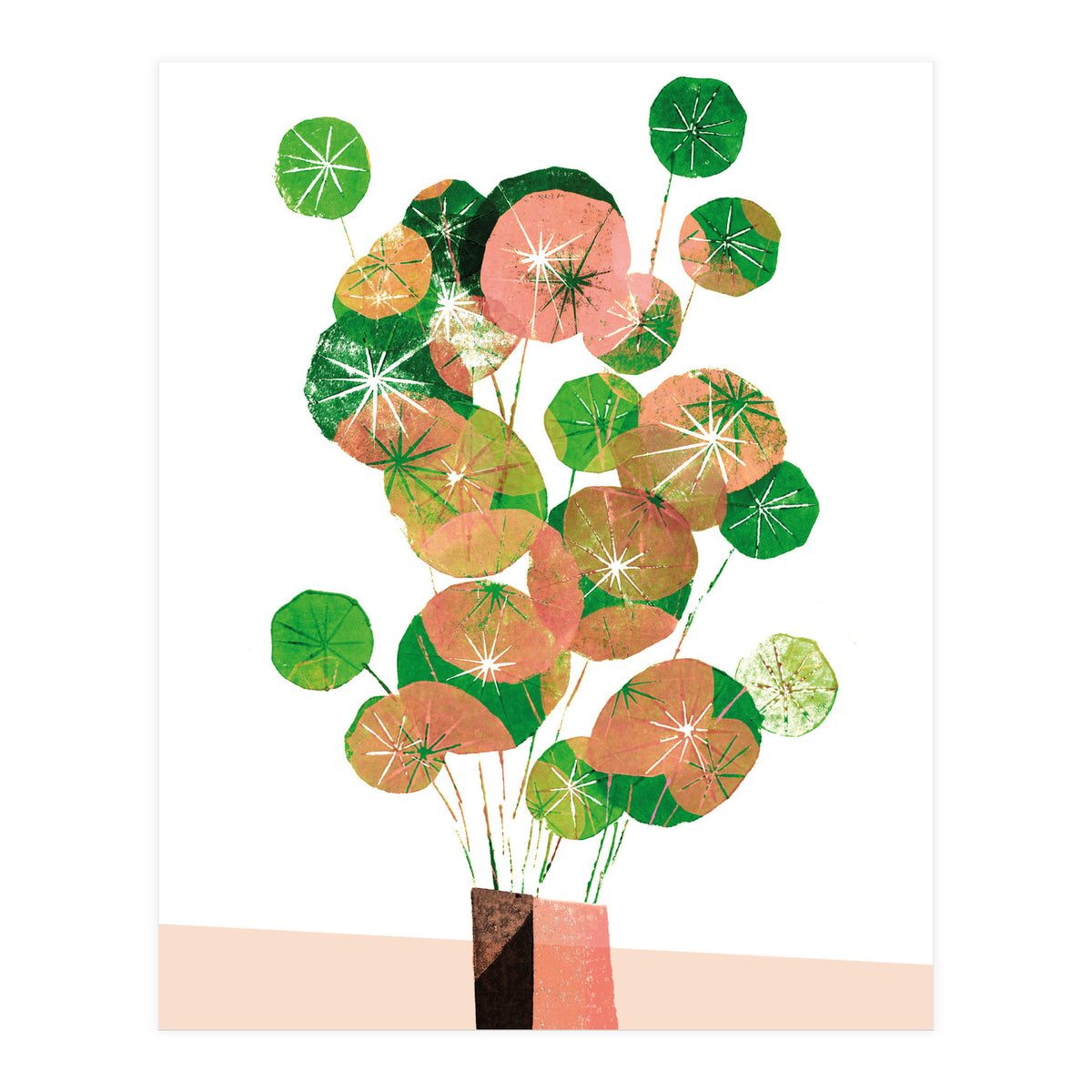 Pilea In Green And Coral (Print Only)
