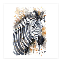 Zebra - Wildlife Collection (Print Only)
