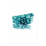 Modern Succulent II (Print Only) thumbnail