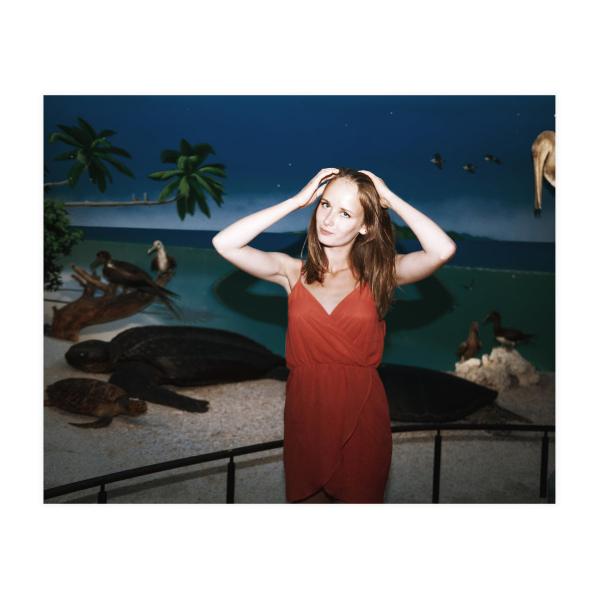 Galapagos (Print Only)