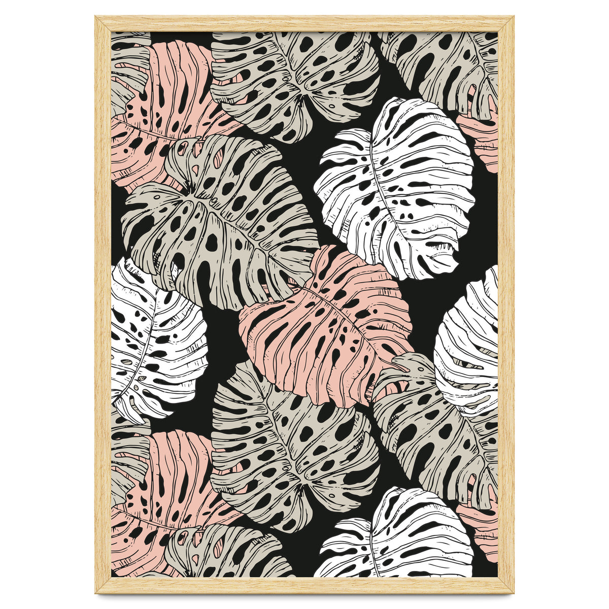 Monstera in the darkness of the jungle