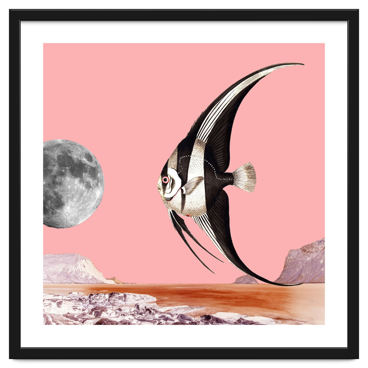 Plenty Of Fish In The Sea Pink