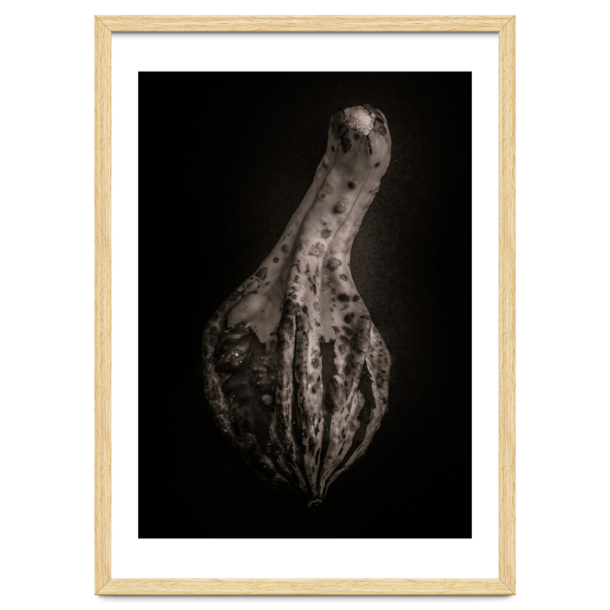Gourds No 3
