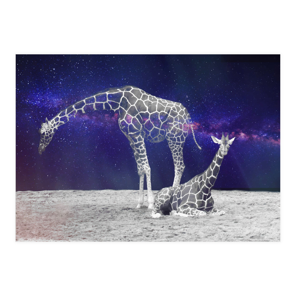 Giraffes on The Moon (Print Only)
