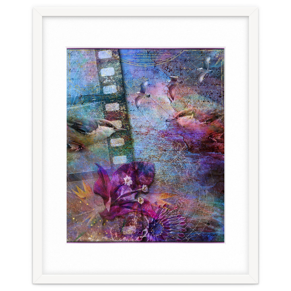 Watching the Wild World