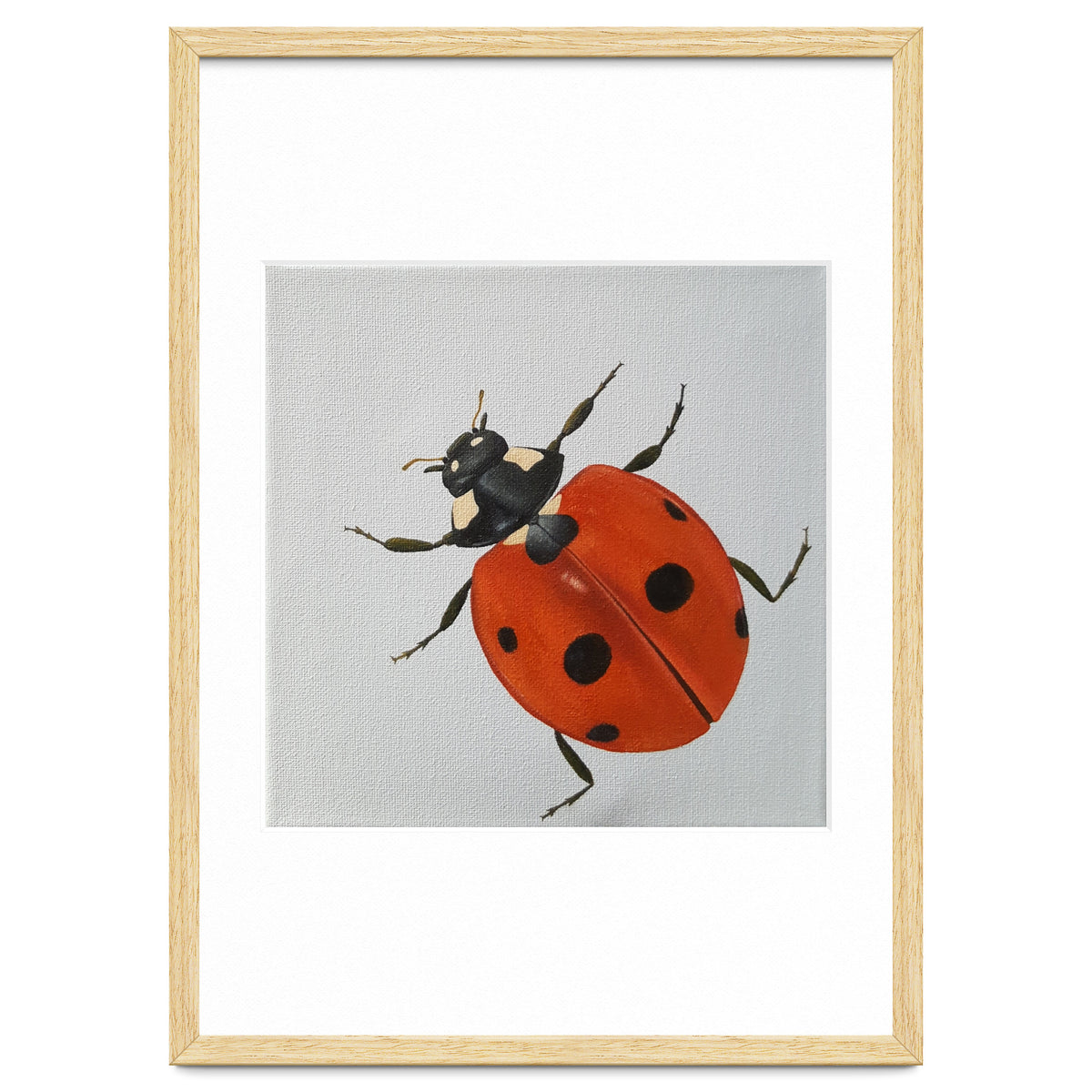 Ladybird