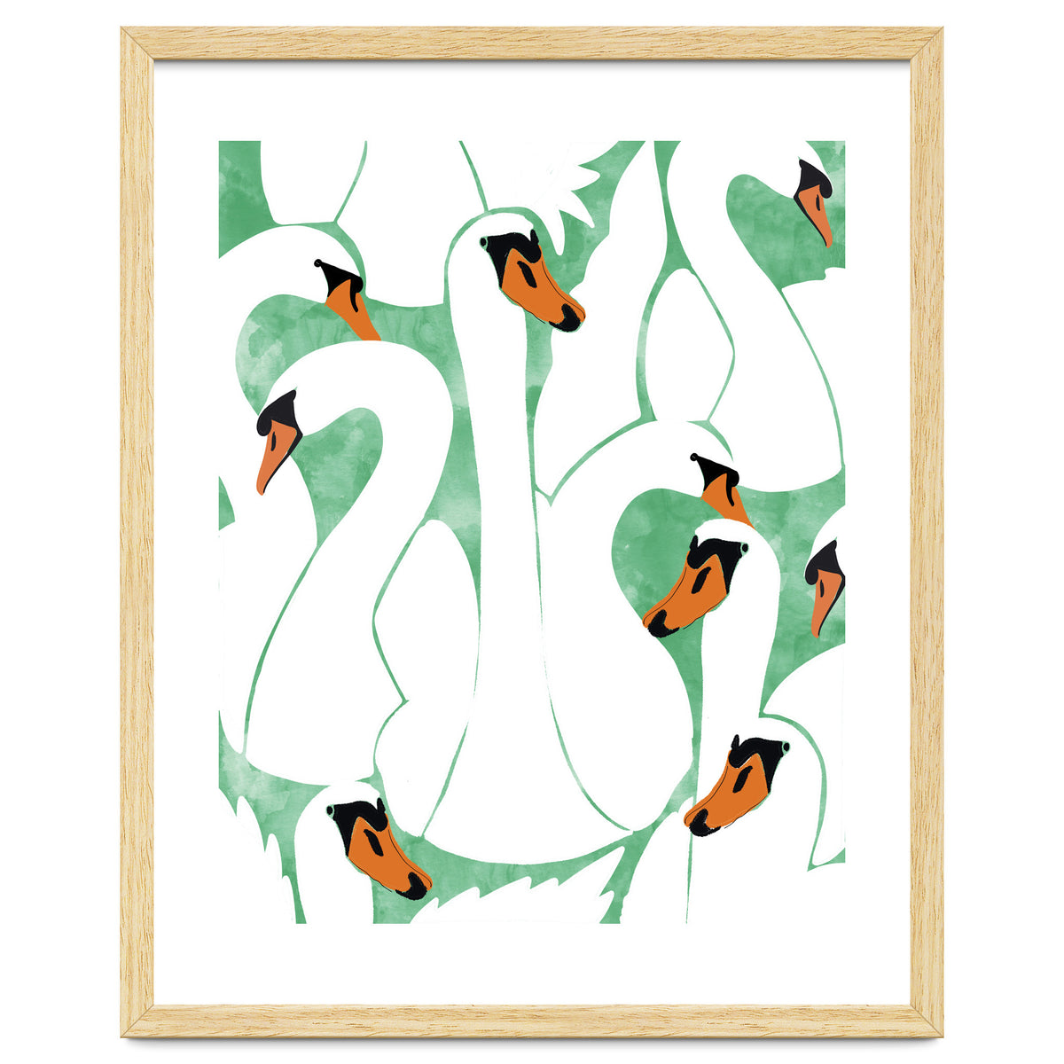 White Calm Was Born Into A Swan