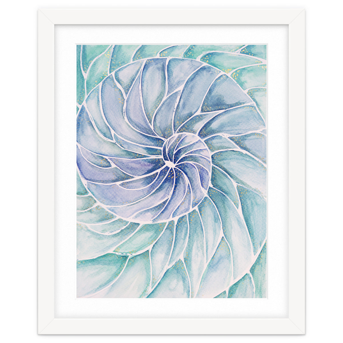 The inside of a shell