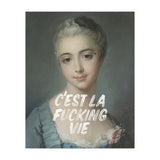 C'est La Fucking Vie (Print Only) thumbnail